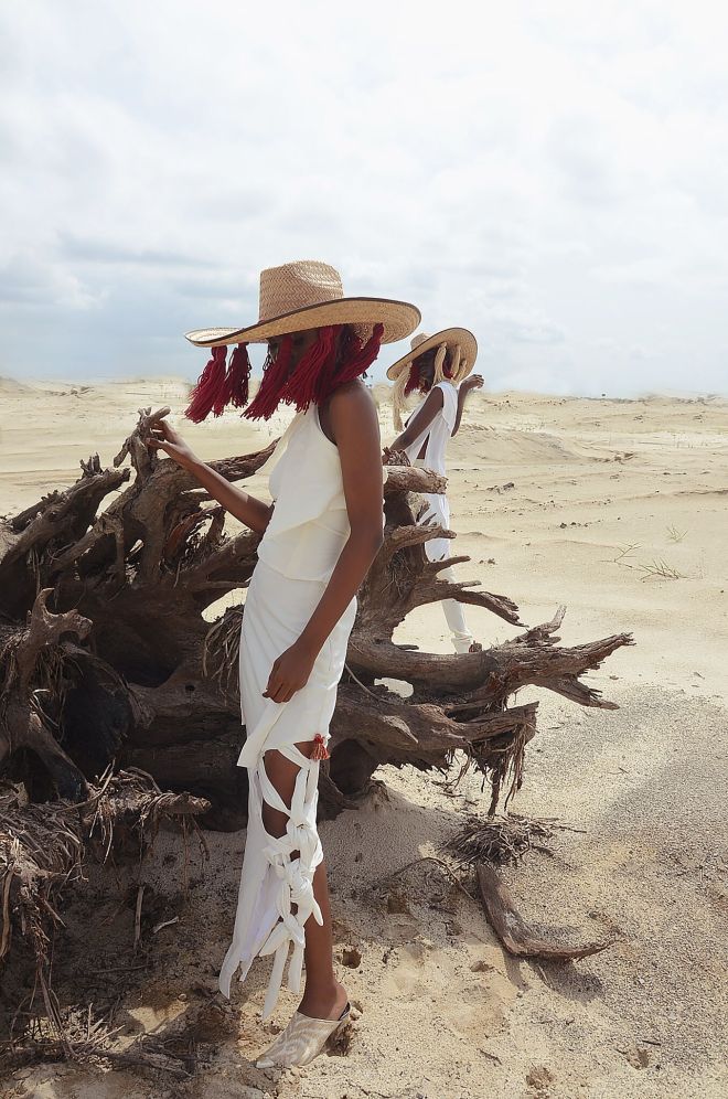 rayo x THE DSF BLOG 1