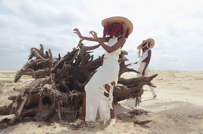 rayo x THE DSF BLOG 2