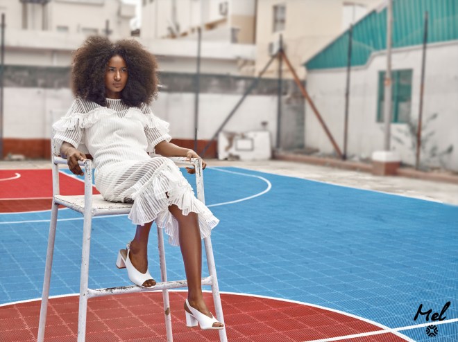 02 camapaign (1) the dsf blog