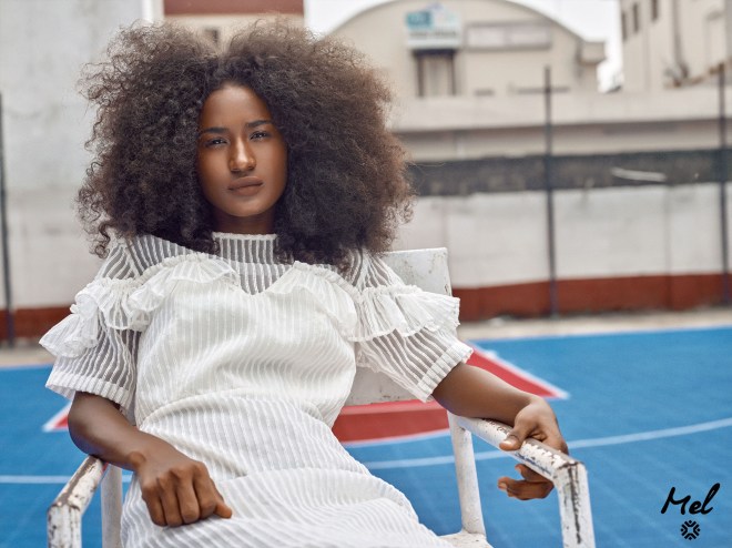 06 campaign the dsf blog