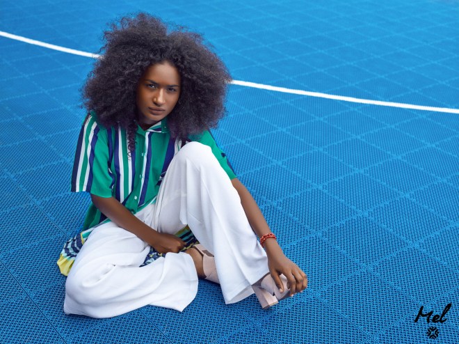 08 campaign the dsf blog